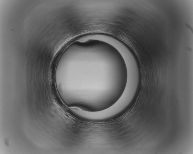 X0000099440676200806061044