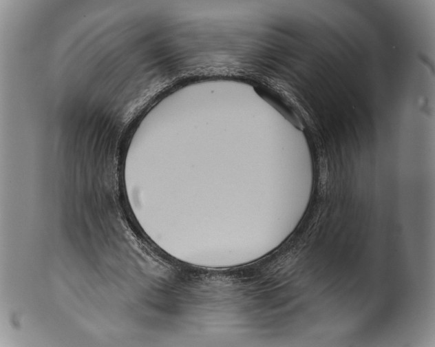 X0000099440677200806061044