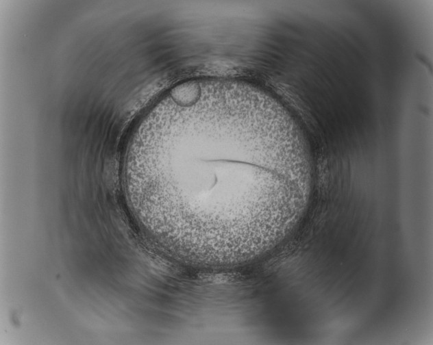 X0000099440679200806061044