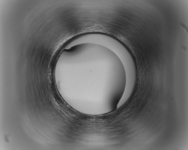 X0000099440680200806061044