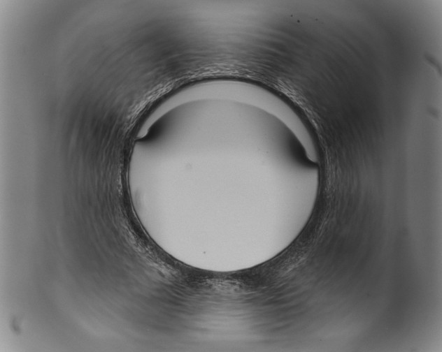 X0000099440681200806061044