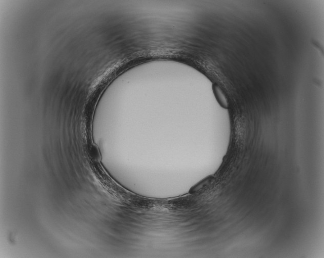 X0000099440684200806061044