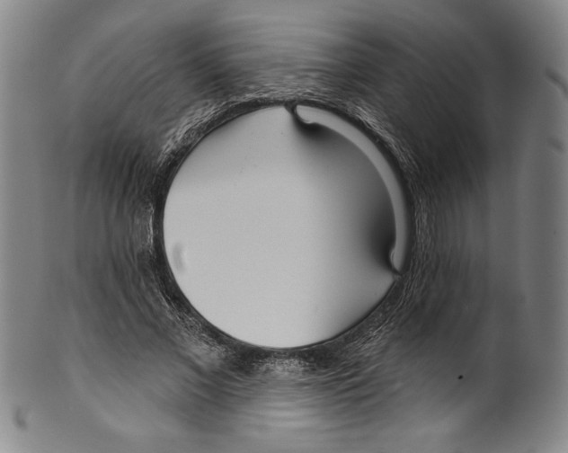 X0000099440685200806061044