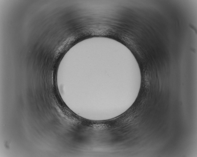 X0000099440686200806061044