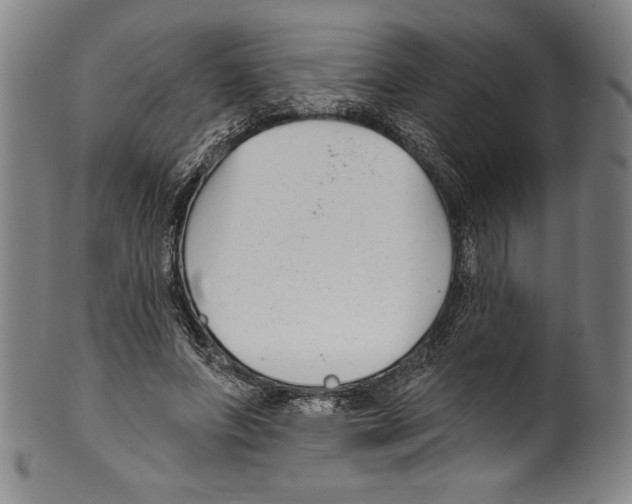 X0000099440687200806061044