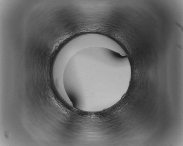 X0000099440688200806061044