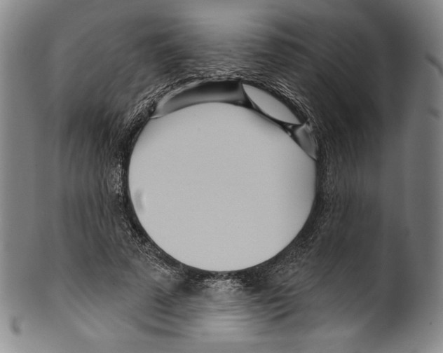 X0000099440689200806061044