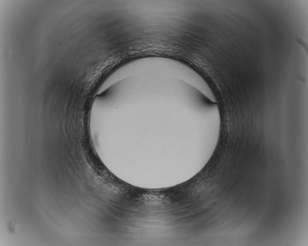 X0000099440690200806061044