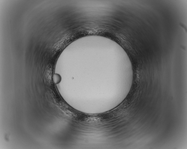 X0000099440691200806061044