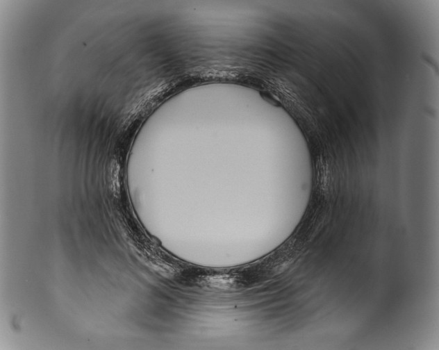 X0000099440692200806061044