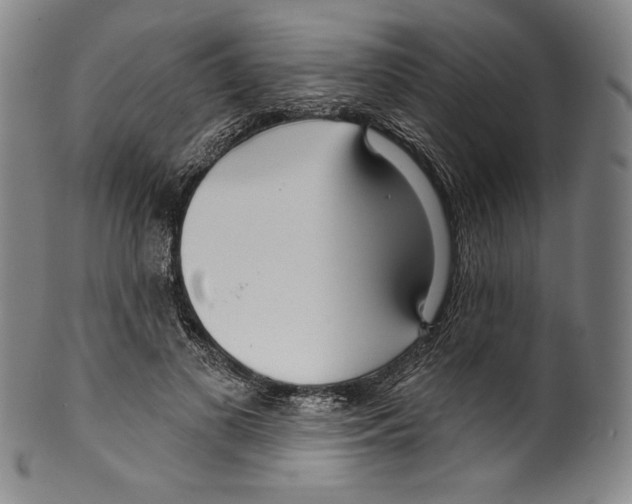 X0000099440693200806061044