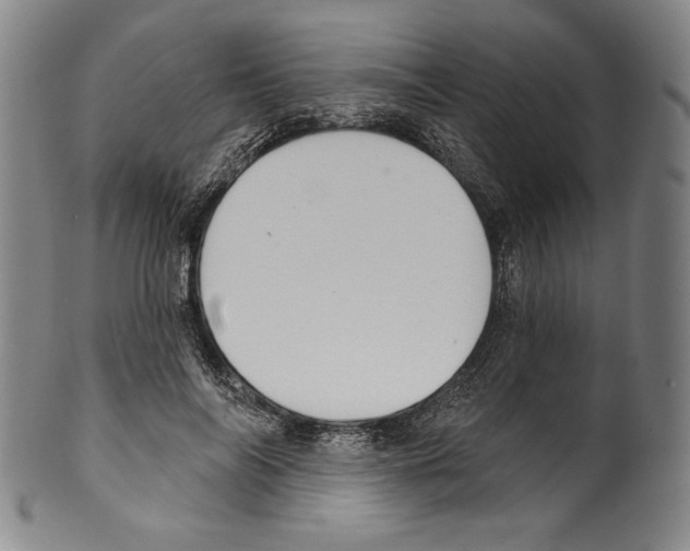 X0000099440694200806061044