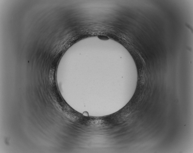 X0000099440695200806061044