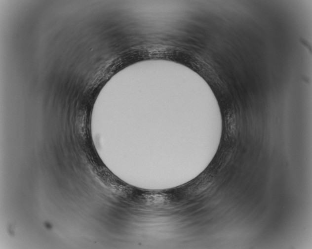 X0000099440698200806061044