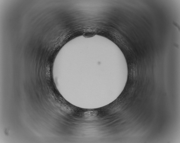 X0000099440700200806061044