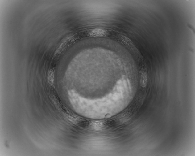 X0000099440701200806061044