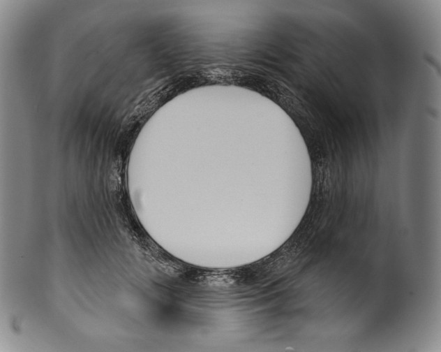 X0000099440702200806061044