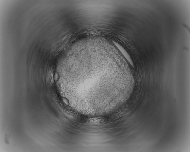 X0000099440703200806061044