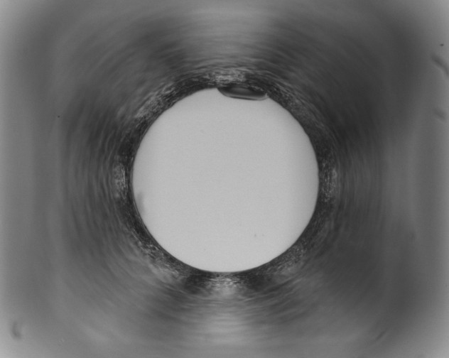 X0000099440704200806061044