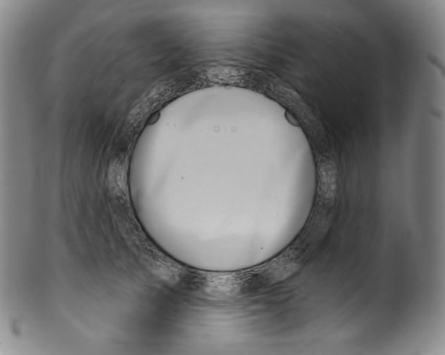 X0000099440705200806061044