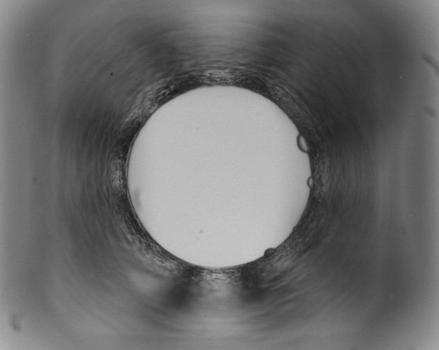 X0000099440706200806061044