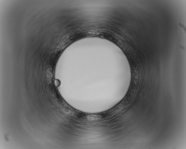 X0000099440707200806061044