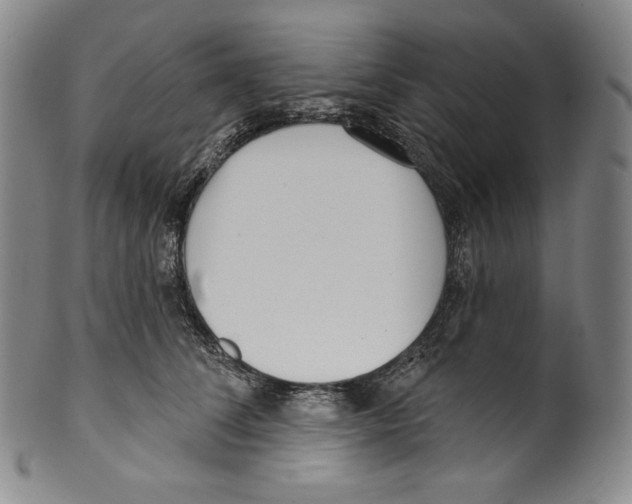 X0000099440708200806061044