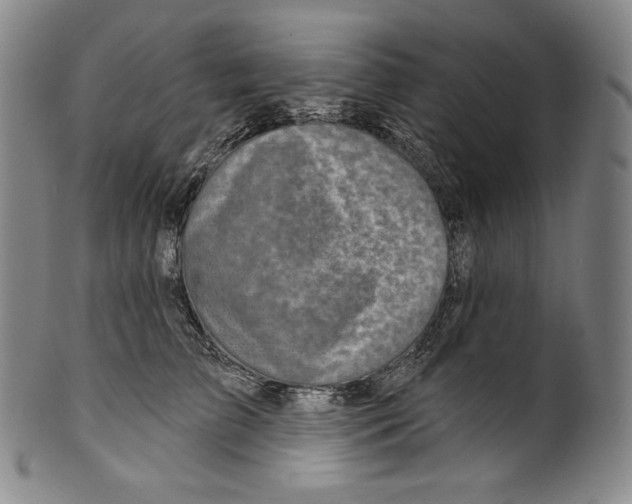 X0000099440709200806061044