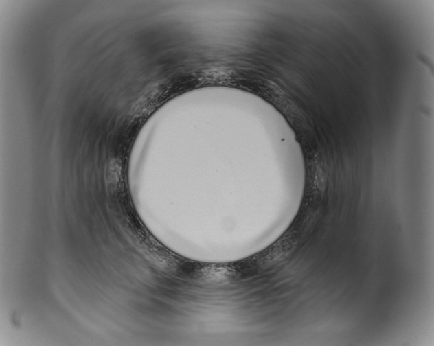 X0000099440711200806061044