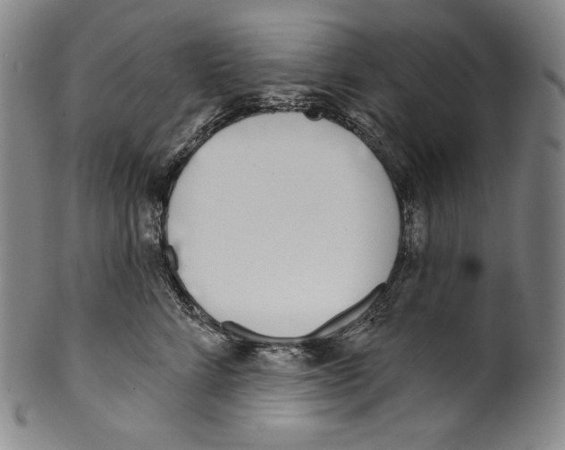 X0000099440712200806061044