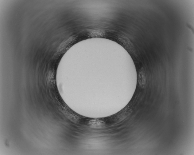 X0000099440714200806061044