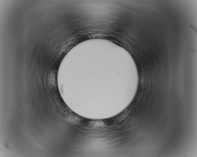 X0000099440715200806061044