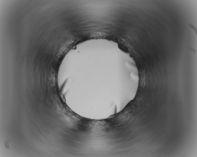 X0000099440716200806061044