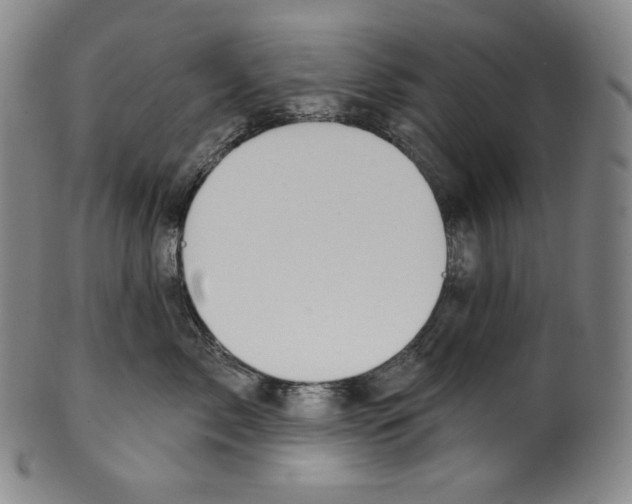 X0000099440717200806061044