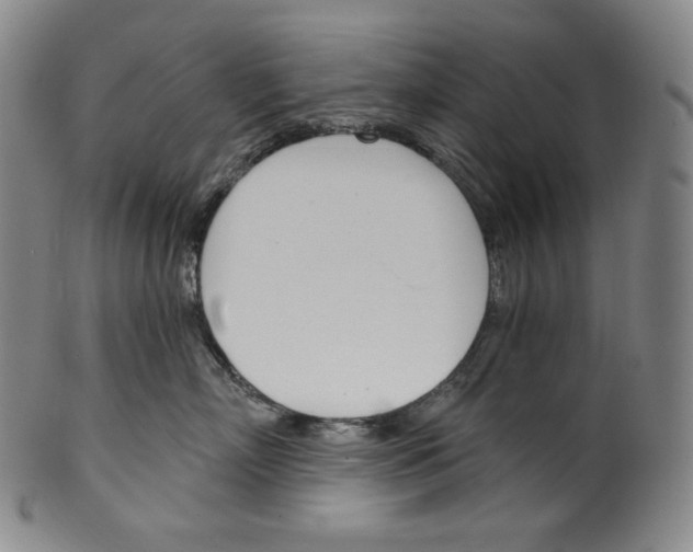 X0000099440718200806061044