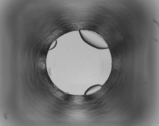 X0000099440719200806061044