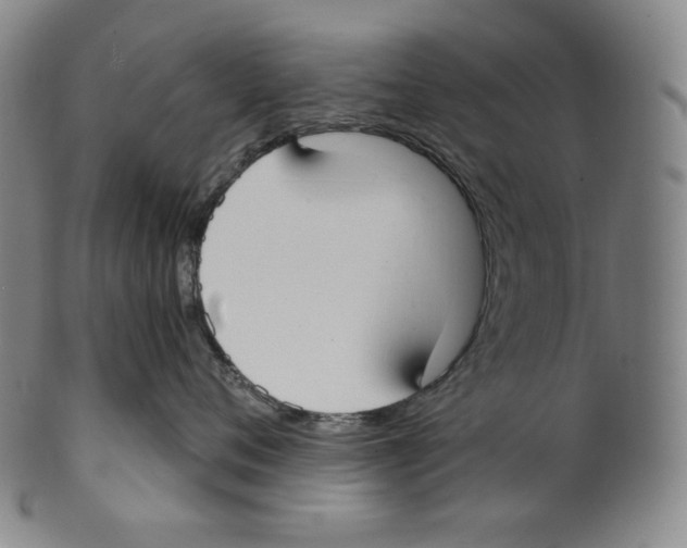 X0000099440720200806061044