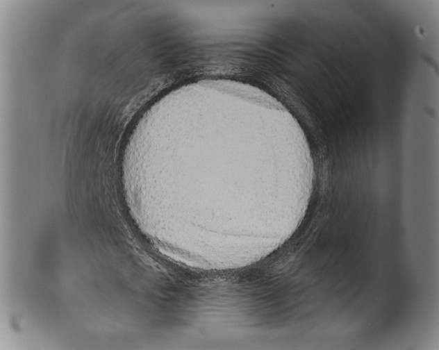 X0000099440721200806061043