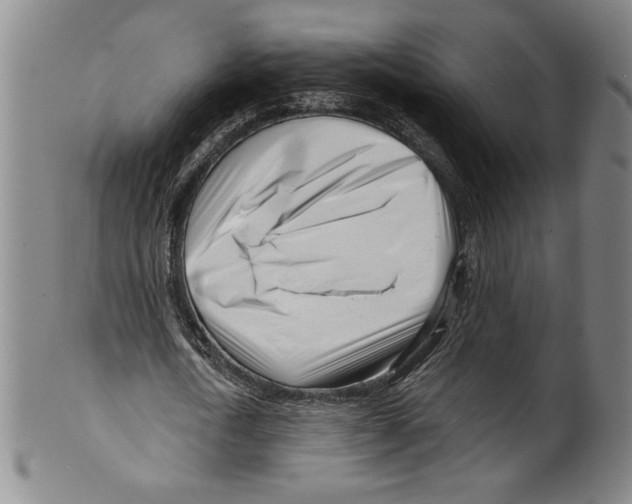 X0000099440722200806061043