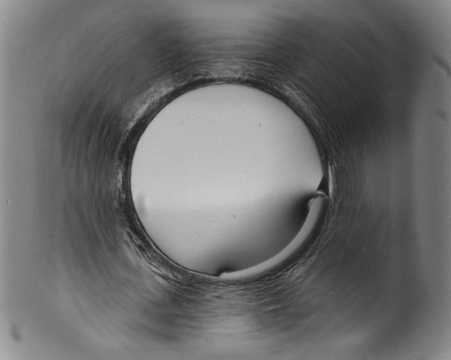 X0000099440723200806061043