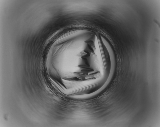 X0000099440724200806061043