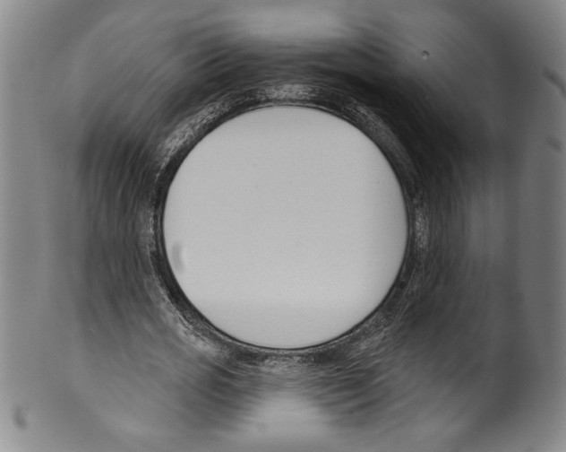 X0000099440725200806061043