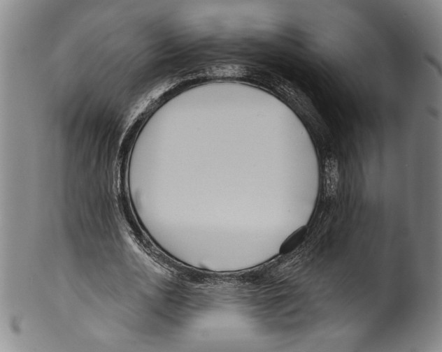 X0000099440726200806061043