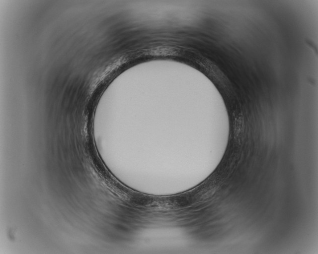 X0000099440727200806061043