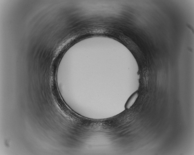 X0000099440728200806061043