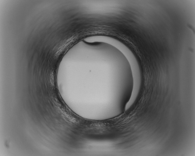 X0000099440729200806061043