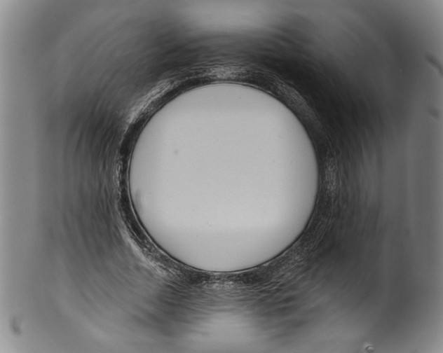 X0000099440730200806061043