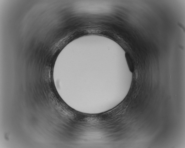 X0000099440733200806061043