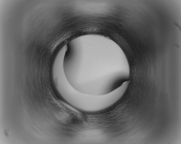 X0000099440735200806061043