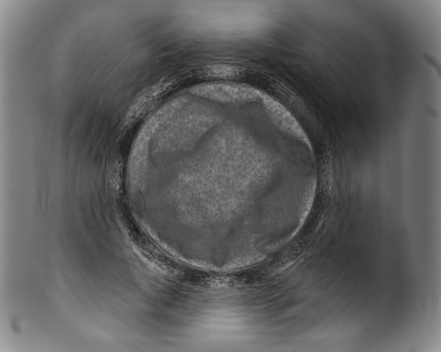 X0000099440736200806061043